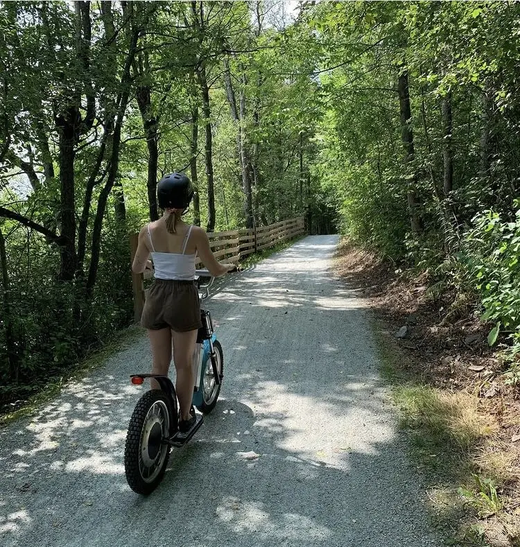 Captura-2022-05-17-a-las-11.55.30 trottinette Geebee