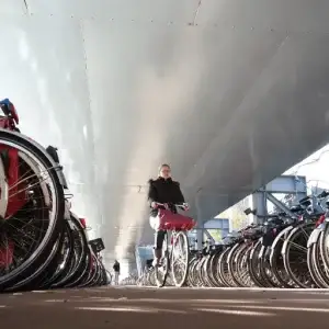 vélos de fonction