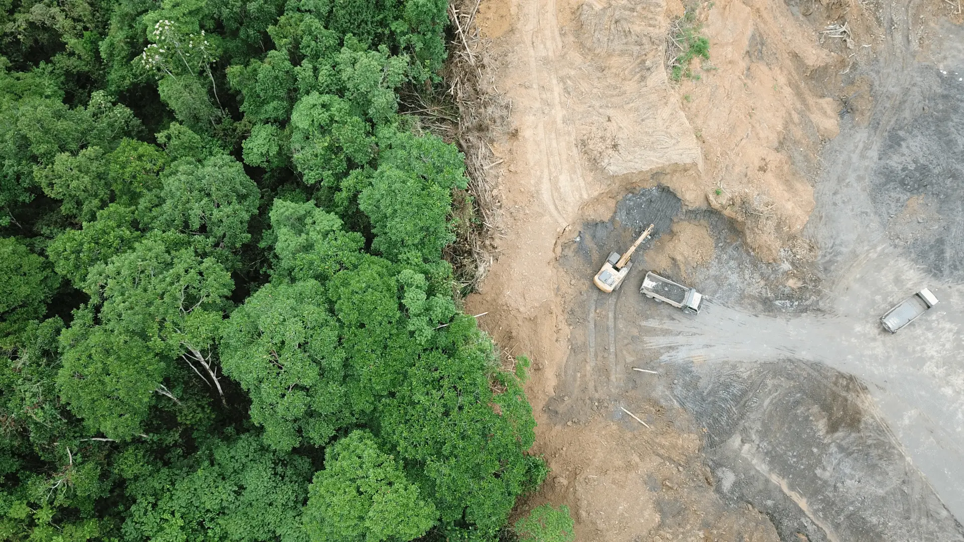 rapport du GIEC rapport du GIEC déforestation