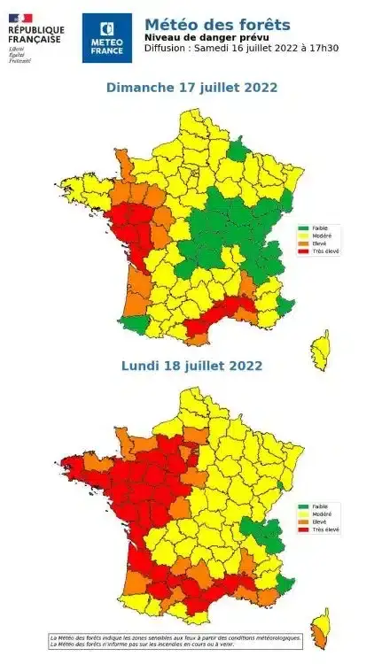 6447f67a66dda meteoforets.jpg 1