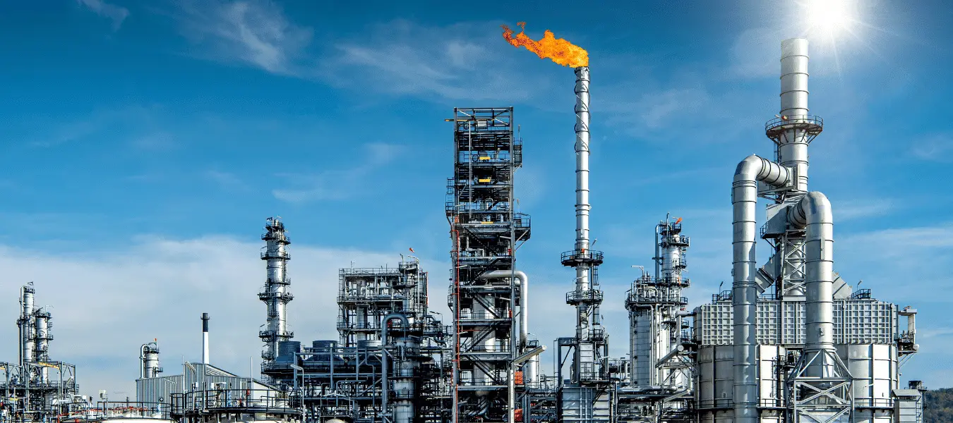 Petrochemical plant