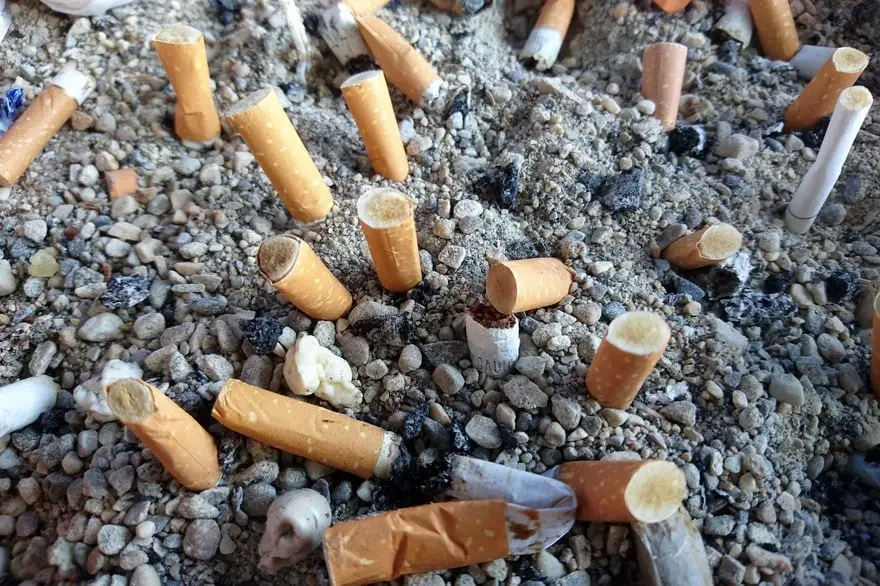 mégots de cigarettes