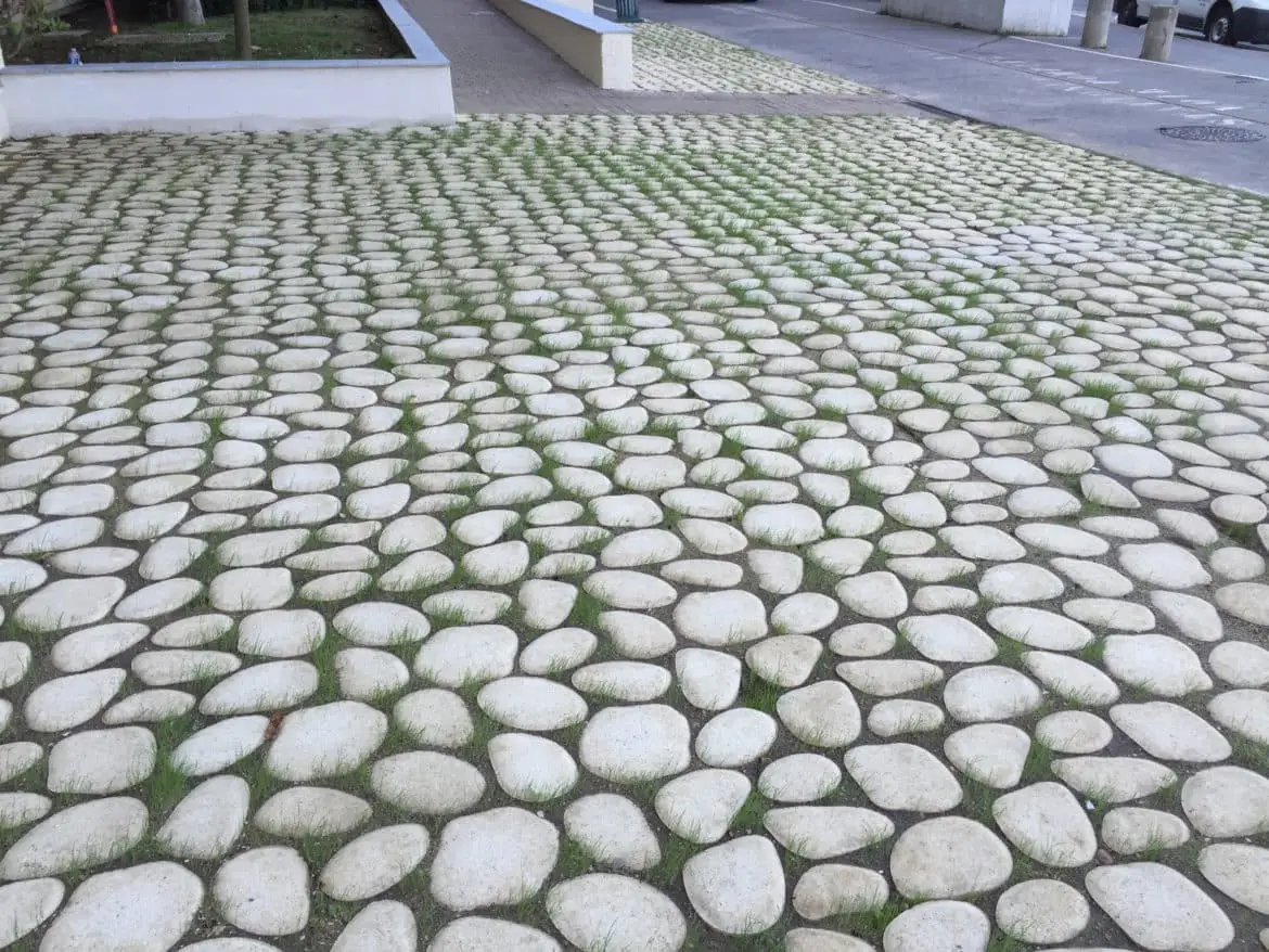 33998_Fabemi Dalles drainantes Durance vegetalisees