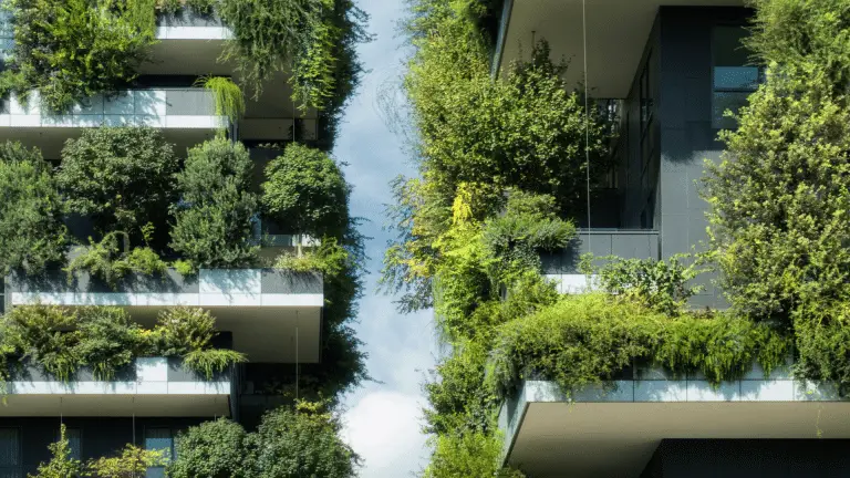 La communication responsable : Un levier essentiel à la transition écologique