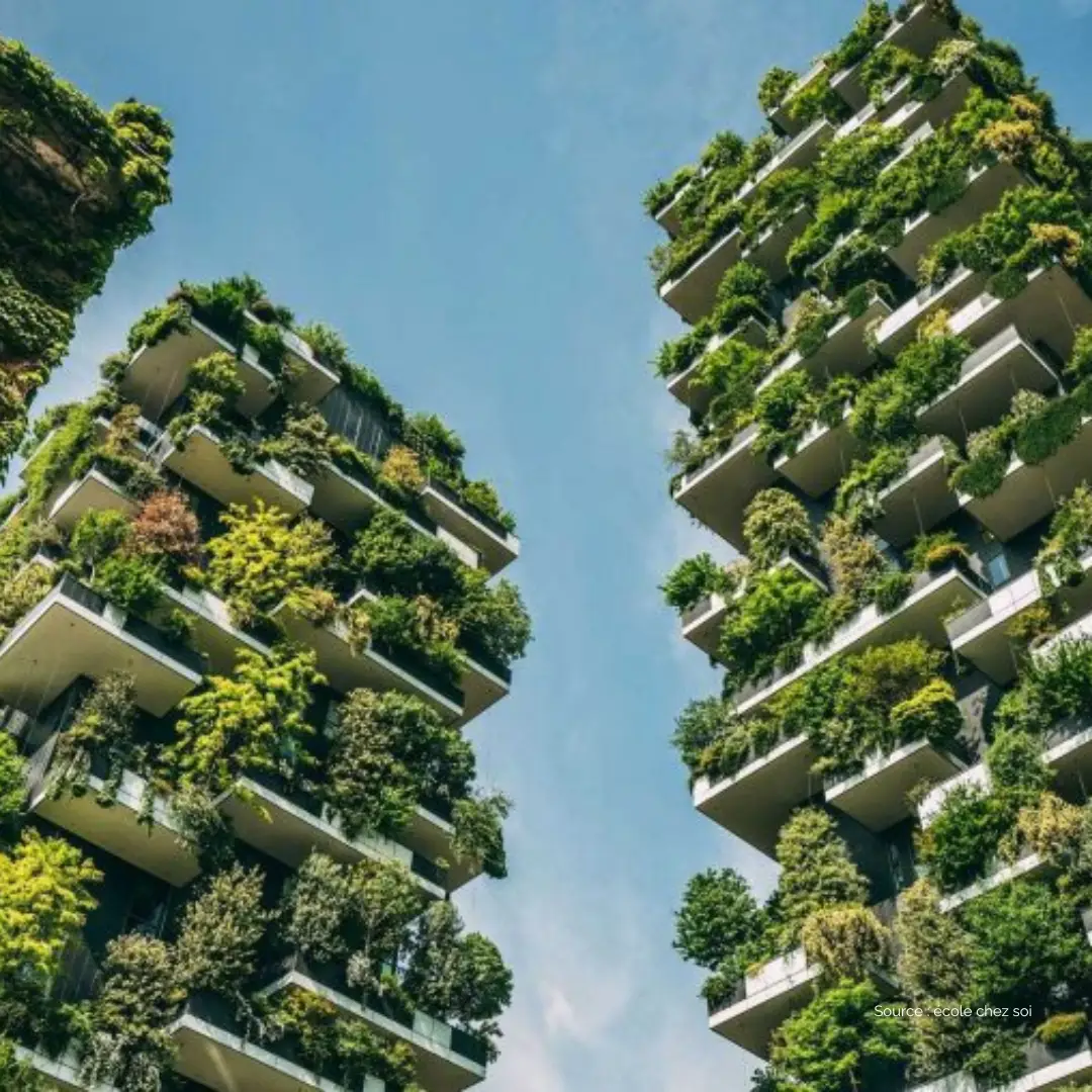 Qu’est-ce qu’une entreprise à impact ?