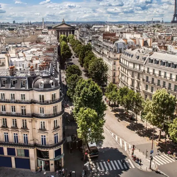 Étude OID/BIG : L’ACV Biodiversité est-elle adaptée aux pratique de l’immobilier ?