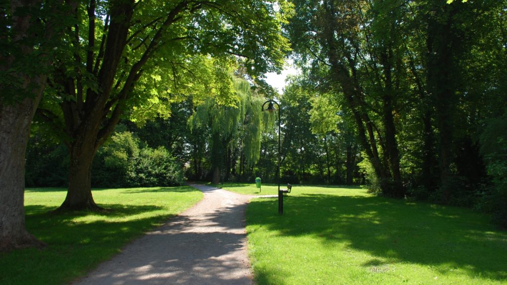 Espace naturel en cours de renaturation