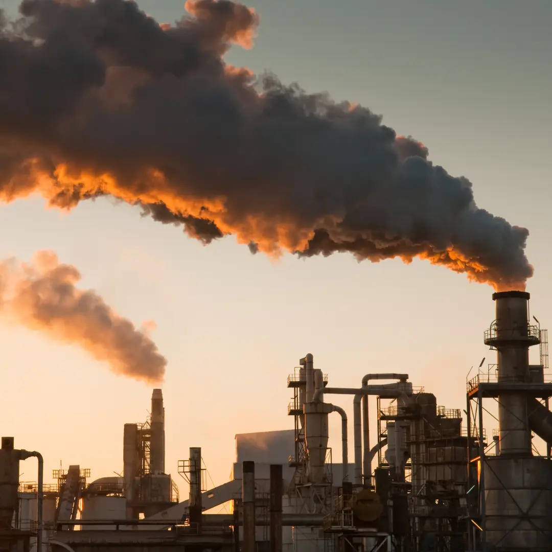 Epargne durable : le greenwashing des assureurs-vie