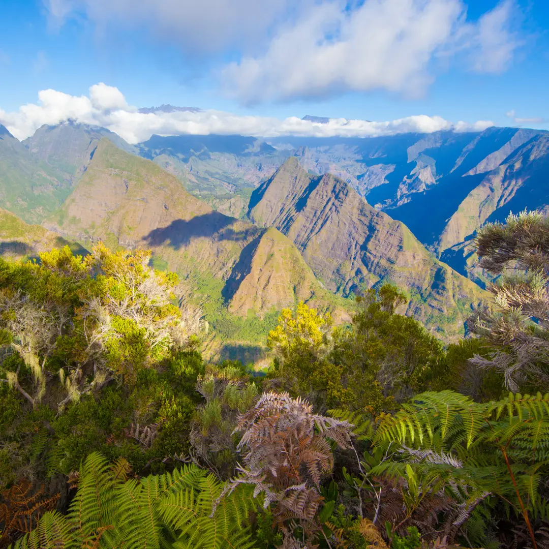 Ile de la Réunion Ile de la Réunion