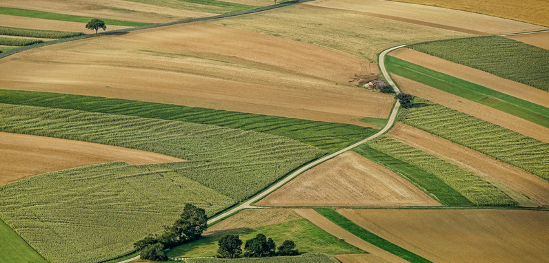 La région Ile-de-France a adopté son SDRIF-Environnemental 2040