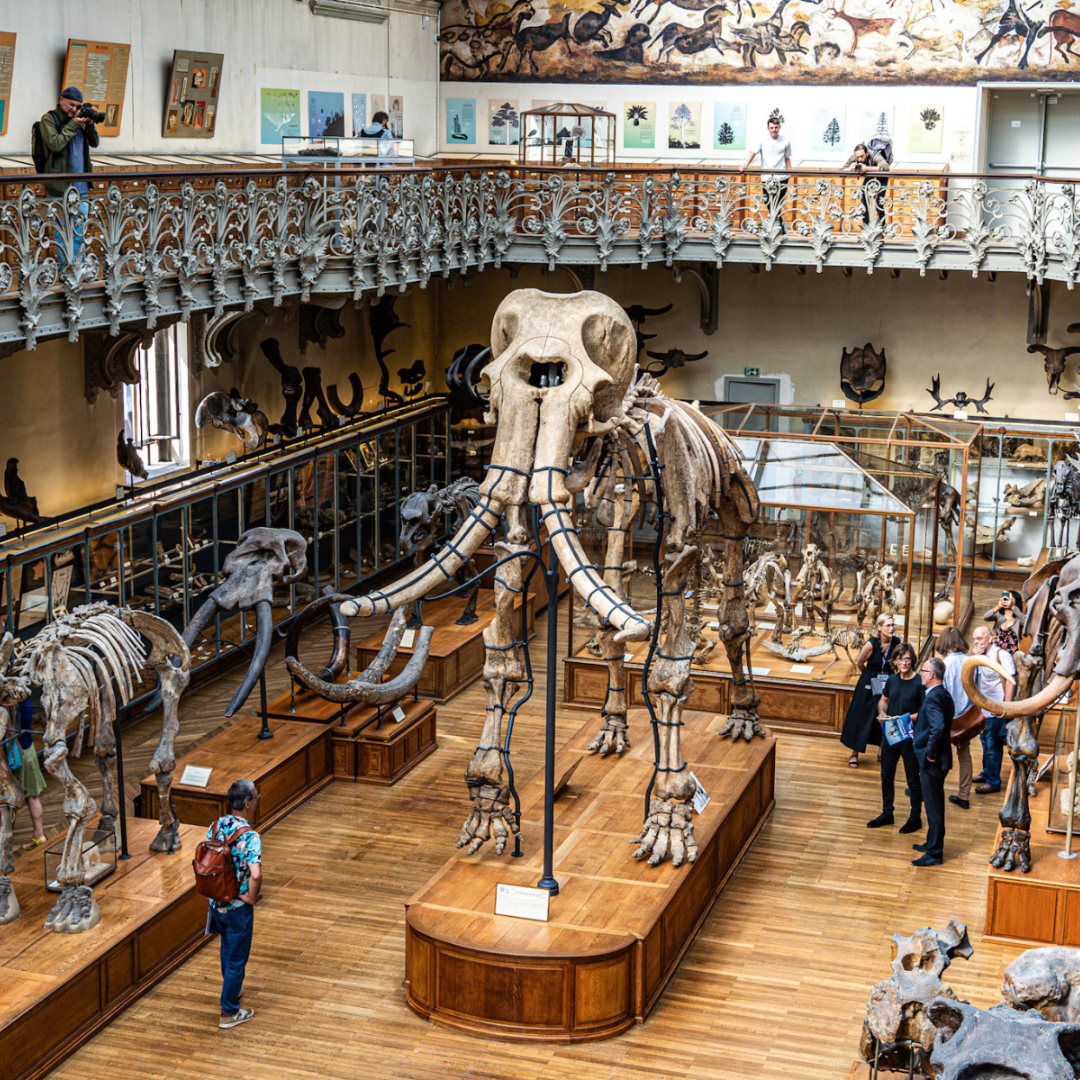 Muséum National d’Histoire Naturelle
