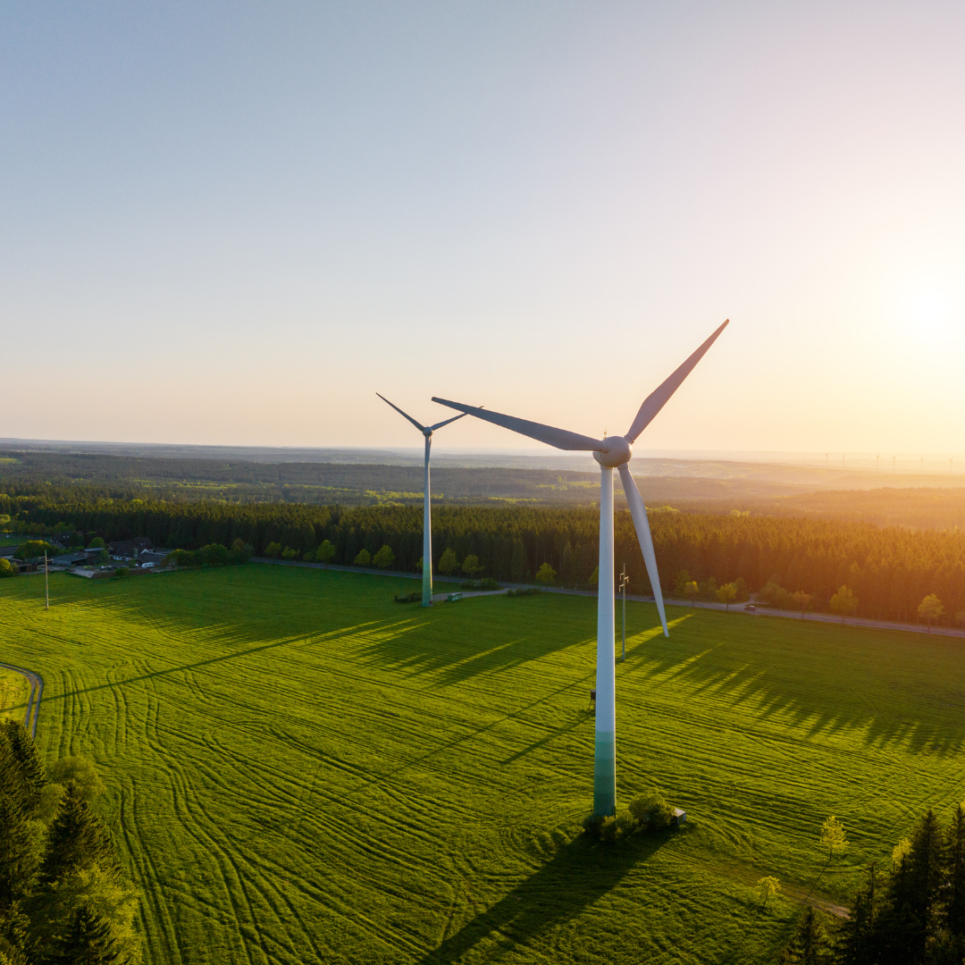 Auto-consommation collective : Qu’est-ce que le label Energie partagée ? Auto-consommation collective : Qu'est-ce que le label Energie partagée ?