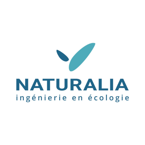 Design sans titre (40)