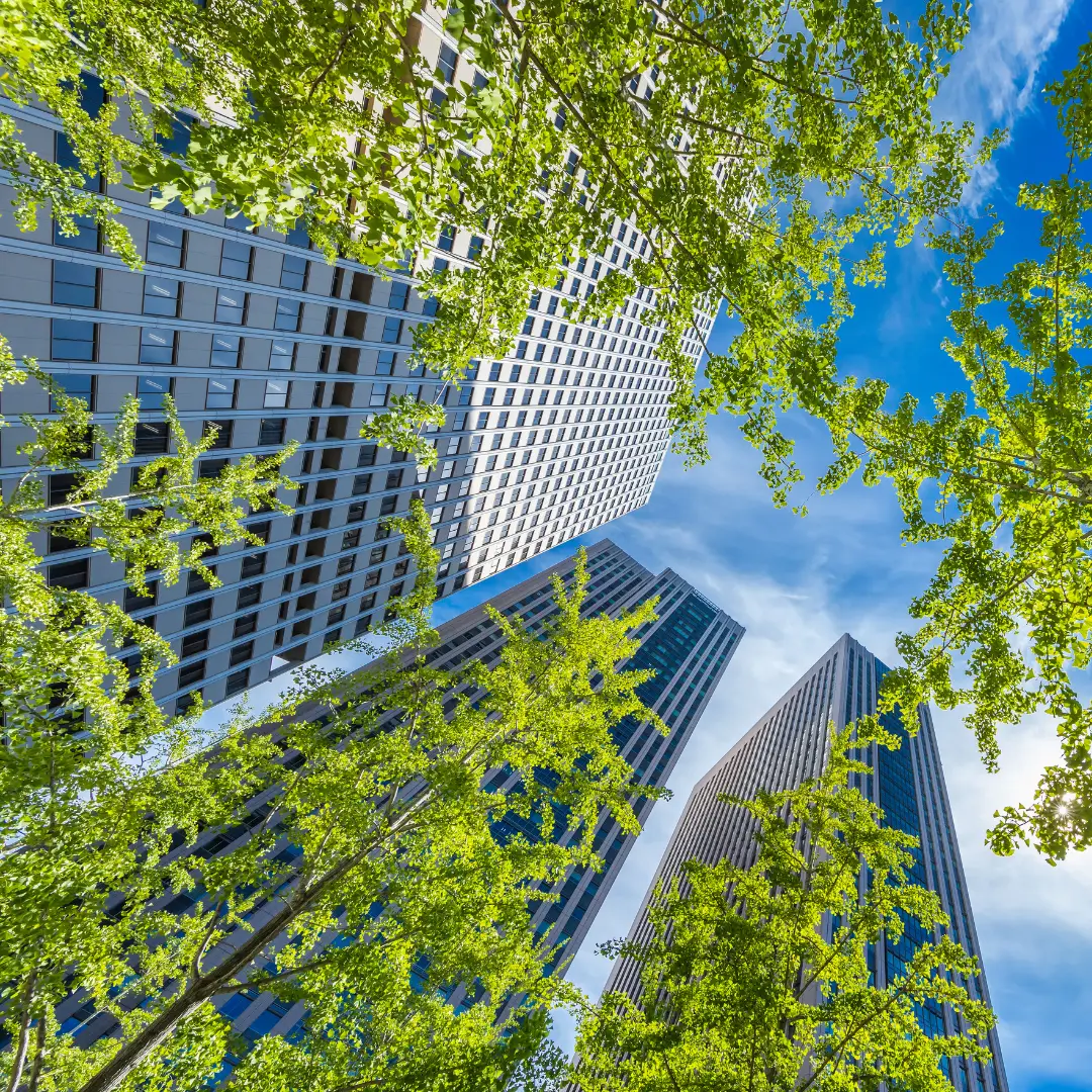 Bâtiments durables : labels et certifications