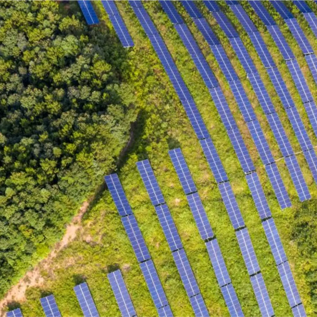 Obligations durables: définition et enjeux actuels