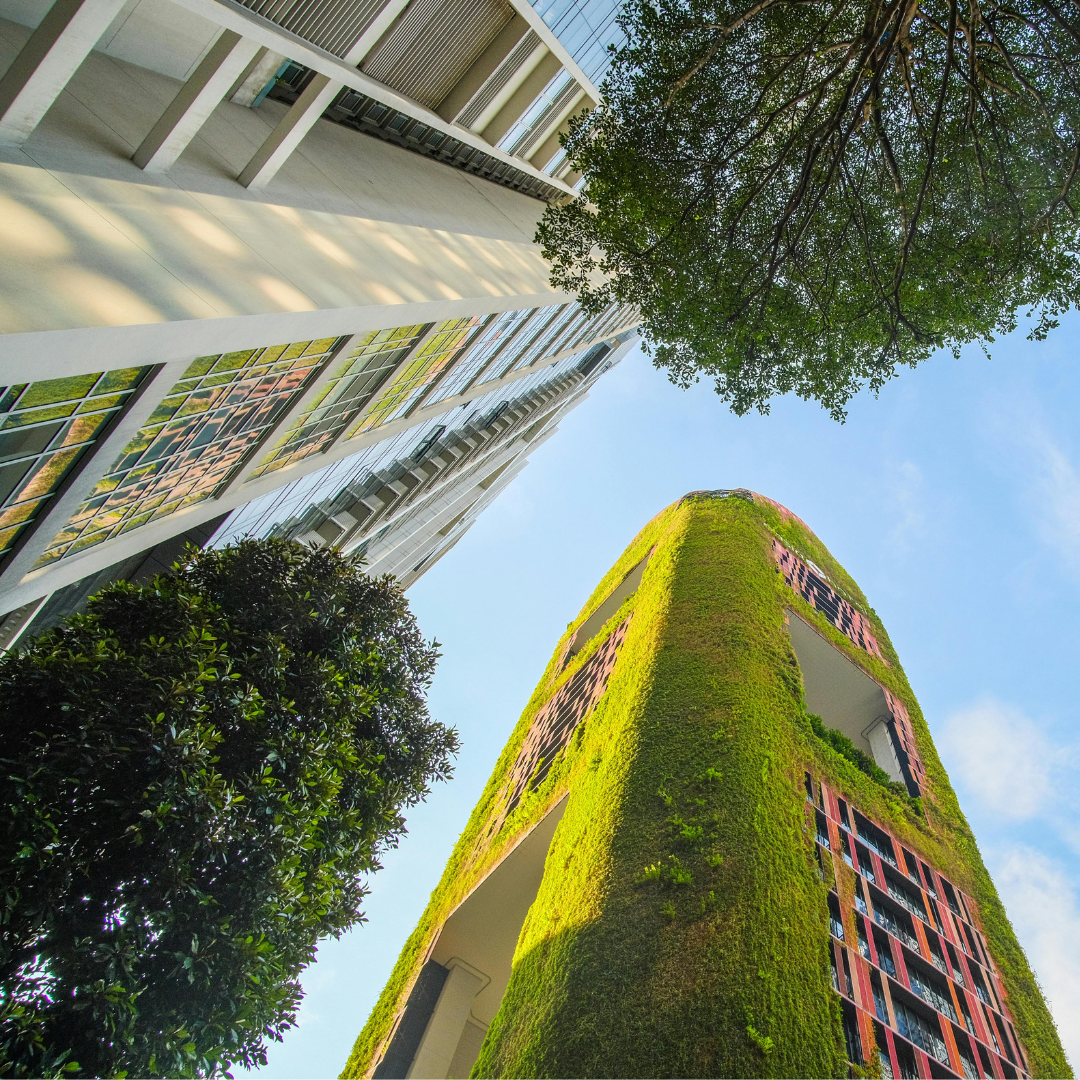 Les principales actualités RSE à la mi mais 2025 Les principales actualités RSE à la mi mais 2025