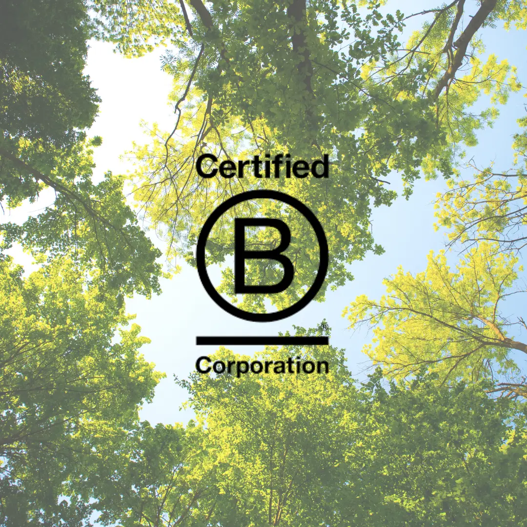 Certification B Corp : Tout savoir sur ce label