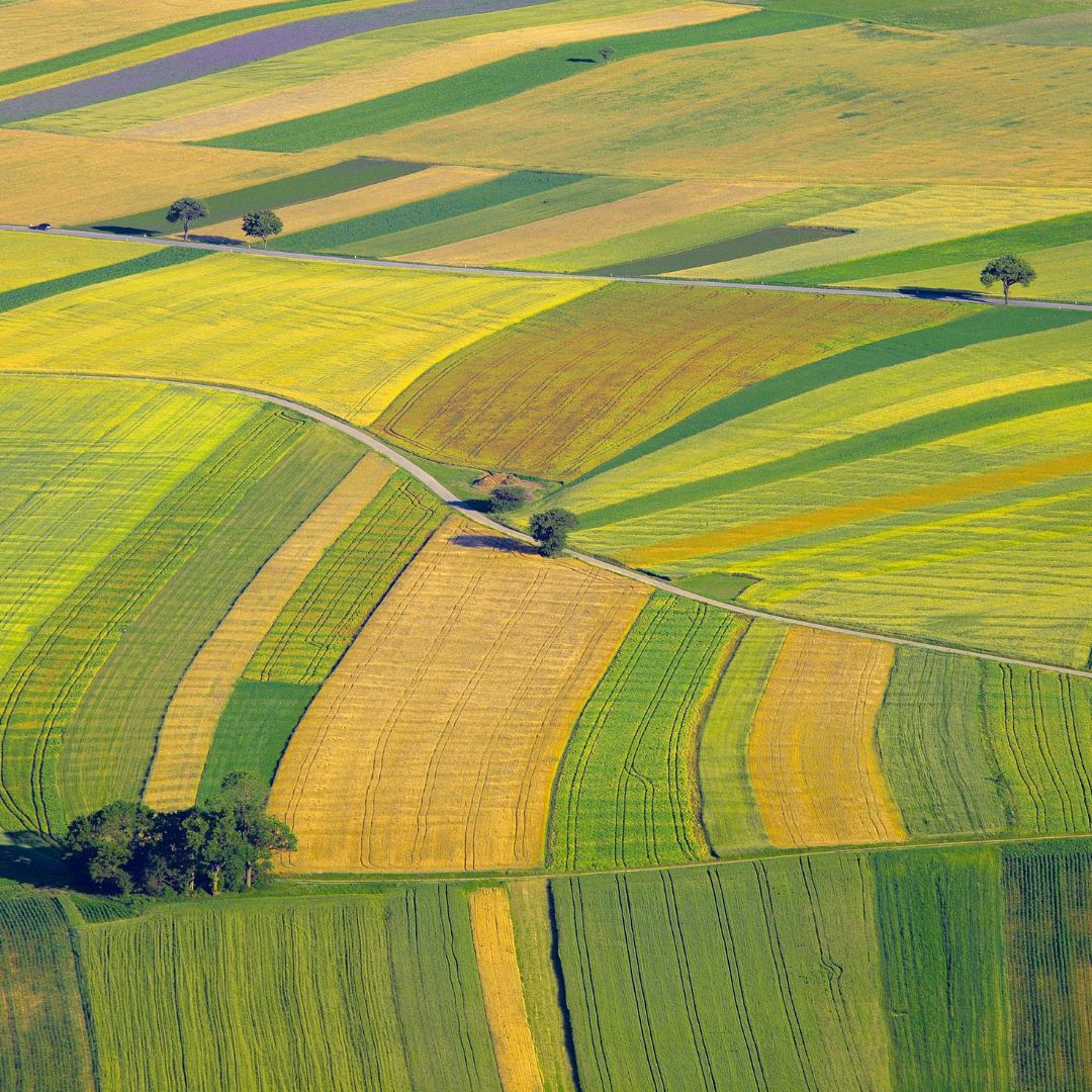 Petition Loi Duplomb: Vers un Nouveau Débat