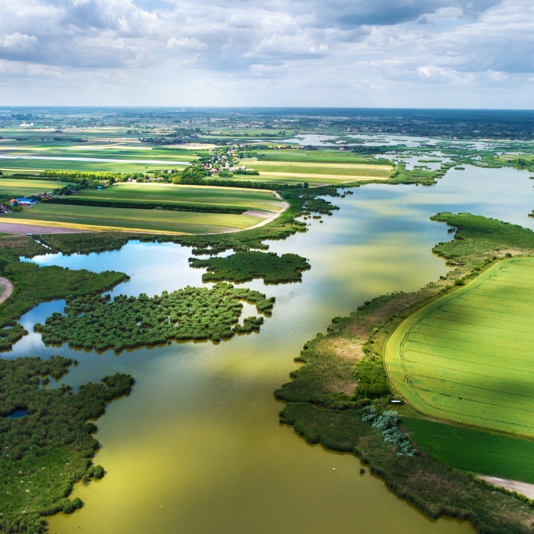 Biodiversité : Un enjeu pour les entreprises Biodiversité : Un enjeu pour les entreprises
