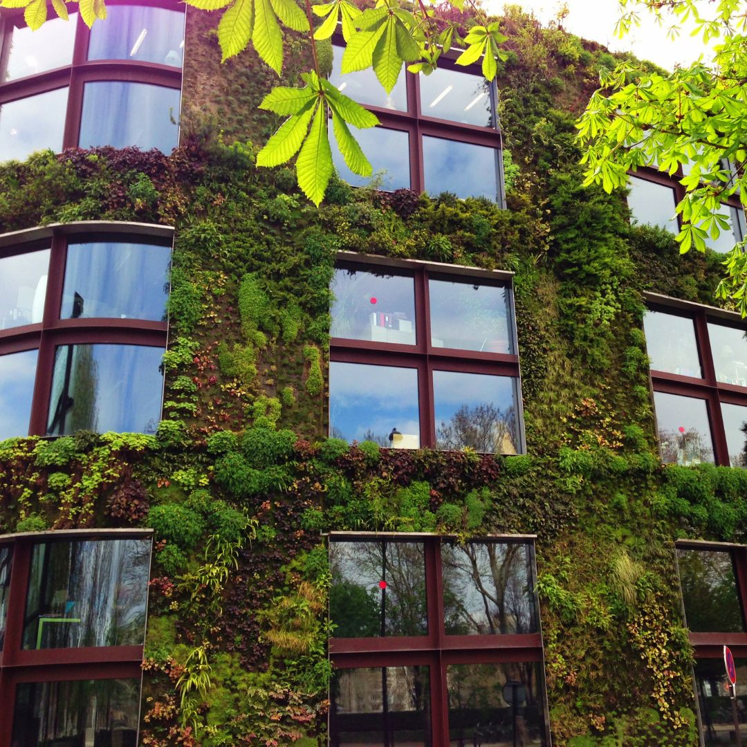 RSE et immobilier tertiaire: Les entreprises veulent des bureaux plus verts, quitte à payer plus cher!