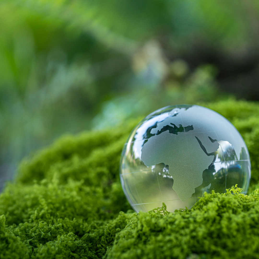 ZAN : État des lieux du modèle selon le baromètre SCET