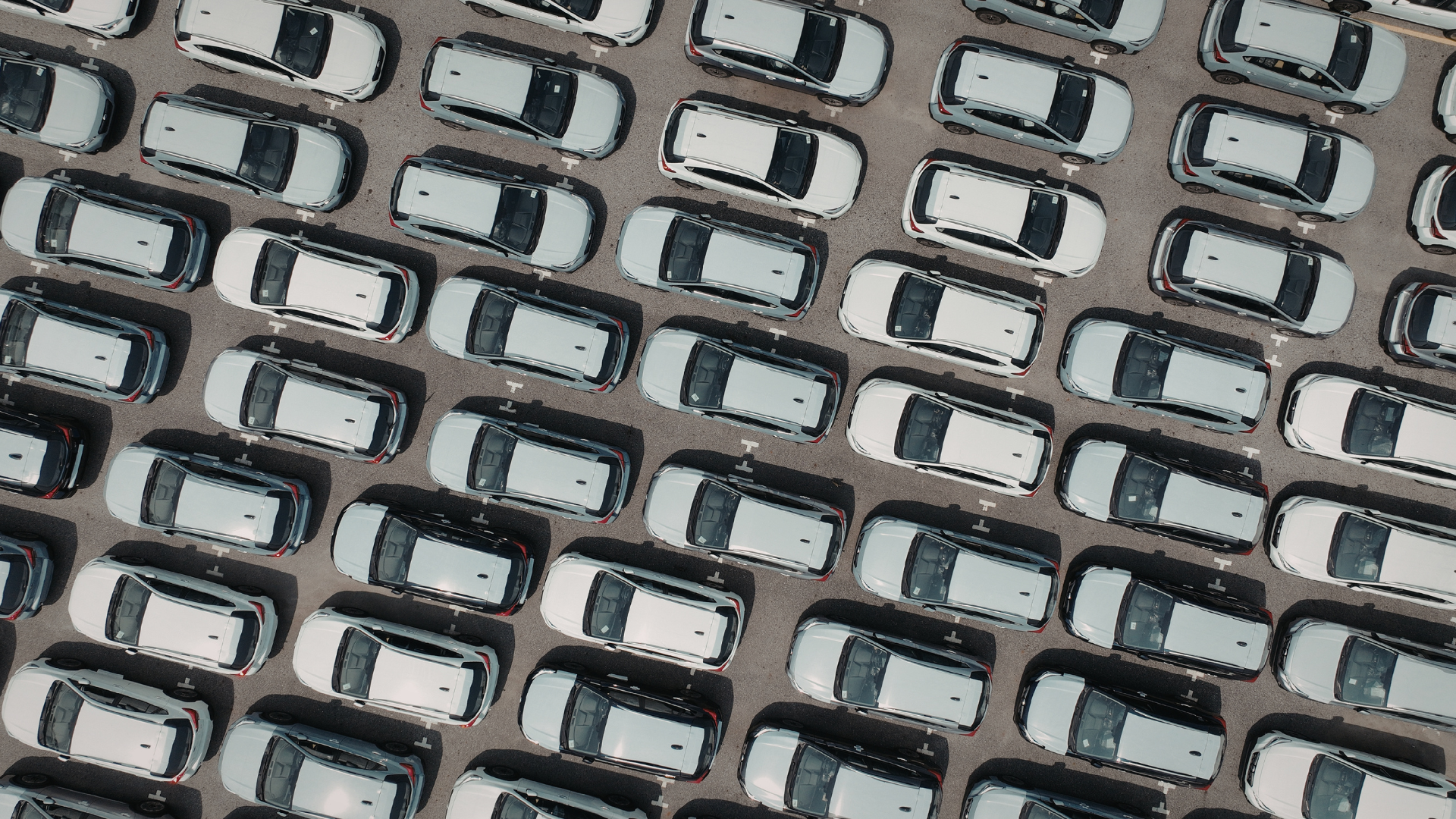 Flotte d'Entreprise en France : tout savoir en 2026